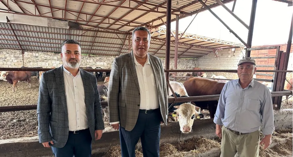 “3 YILDA 2,7 MİLYAR DOLAR HAYVAN İTHALATINA GİTTİ”