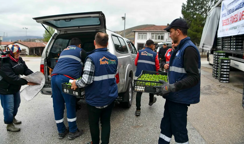 ANKARALI ÇİFTÇİYE 1 MİLYONUN ÜZERİNDE ERKENCİ SEBZE FİDESİ 